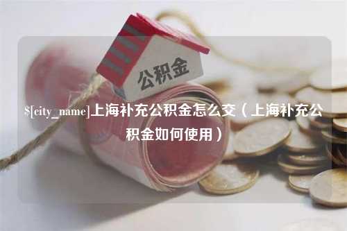 岳阳上海补充公积金怎么交（上海补充公积金如何使用）